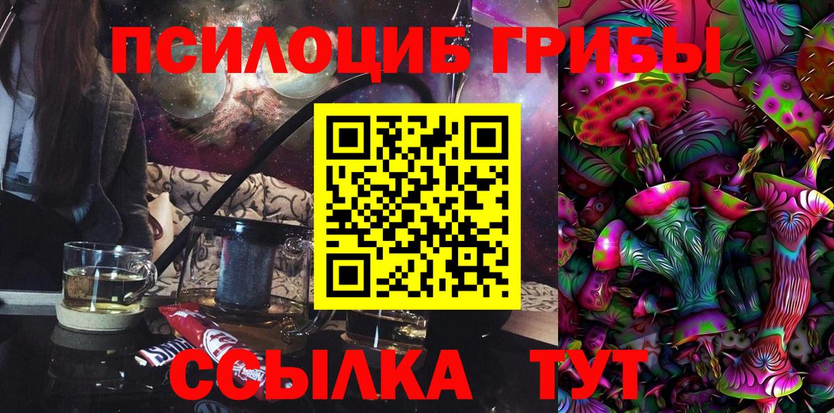 Галлюциногенные грибы Psilocybine cubensis Добрянка